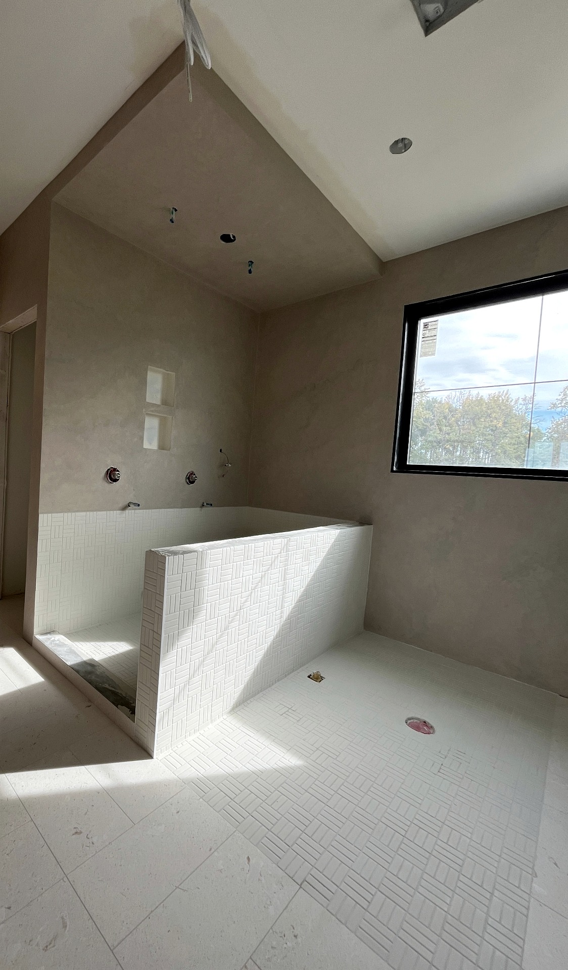 Double Niche Walk-in Shower