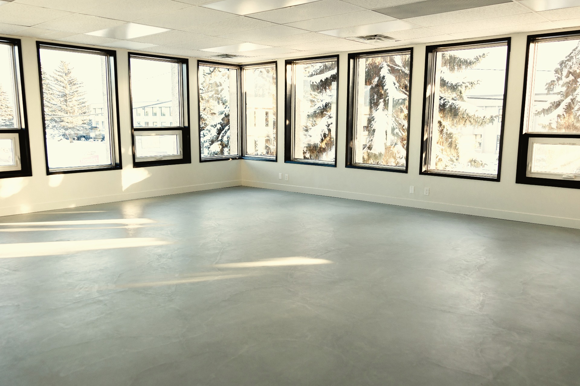 Edmonton Commercial Suite
